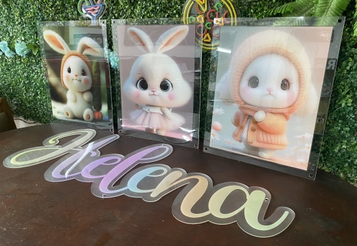 Trabajos en Acrilico